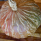 Ayeyarwady Delta Maxima Squash